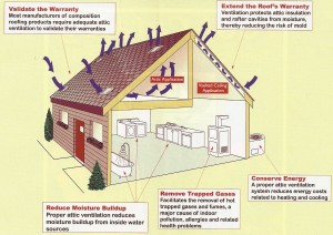 Understanding Ventilation and Roof Vents