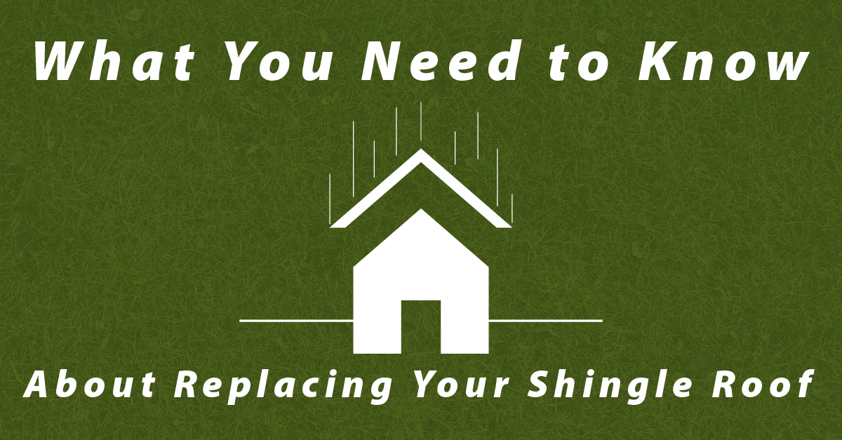 What You Need to Know About Replacing Your Shingle Roof